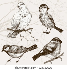 Bird collection - sparrow, pigeon, bullfinch, titmouse. Set of vintage bird on background with branch