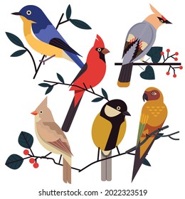 Bird collection style flat design