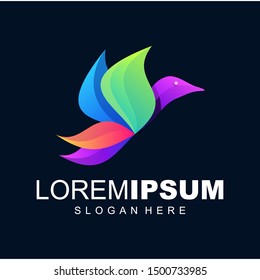 bird collorful logo design vector