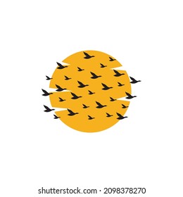 bird colony back sunset logo  vector design illustration