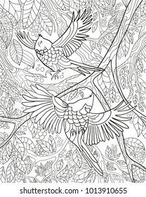 Bird color book/ vector/ black and white/ antistress/ zentangle