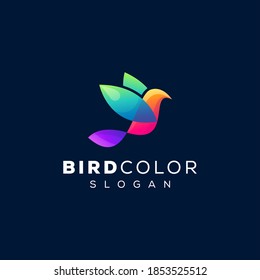 bird color gradient logo design