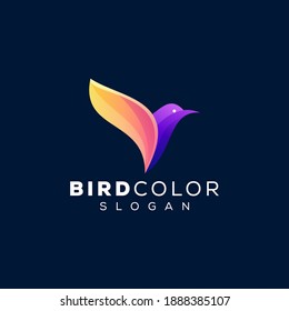 bird color gradient logo design