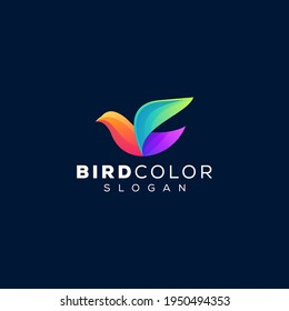 bird color gradient logo design