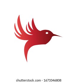  bird color illustration of vector design