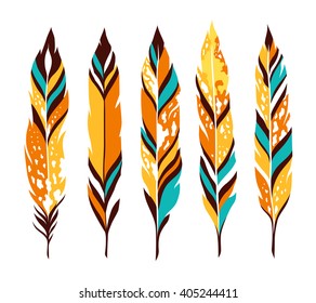 Bird colored feathers isolated on white background.