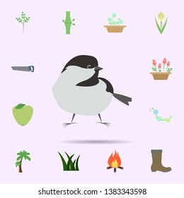 Bird colored icon. Universal set of nature for website design and development, app development