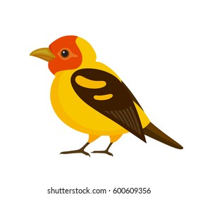 Bird with colorful feathers, isolated vector illustration.  Perfect cards or any other kind of design