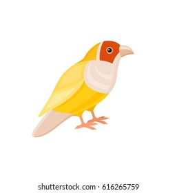 Bird with colorful feathers, isolated vector illustration.  Perfect cards or any other kind of design