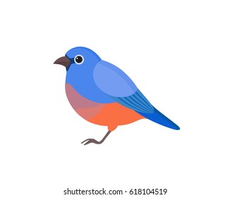 Bird with colorful feathers, isolated vector illustration.  Perfect cards or any other kind of design