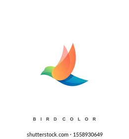 Bird Colorful Illustration Vector Template, Suitable for Creative Industry, Multimedia, entertainment, Educations, Shop, and any related business
