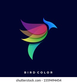 Bird Colorful Illustration Vector Template, Suitable for Creative Industry, Multimedia, entertainment, Educations, Shop, and any related business