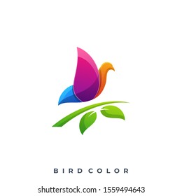 Bird Colorful Illustration Vector Template, Suitable for Creative Industry, Multimedia, entertainment, Educations, Shop, and any related business