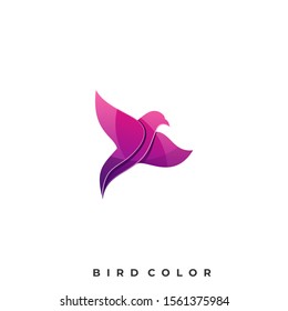 Bird Colorful Illustration Vector Template, Suitable for Creative Industry, Multimedia, entertainment, Educations, Shop, and any related business