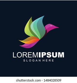bird colorful logo design vector