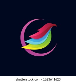 bird colorful logo design vector