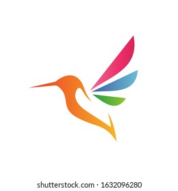 Bird colorful logo design vector