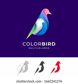 Bird colorful logo. Dove Multicolored logo template