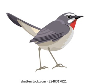 Bird with colorful plumage and feathers, isolated portrait of cute character. Avian animal species and kinds of birdies. Ornithology and birdwatching, zoology and wilderness. Vector in flat style