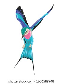 Bird Colorful vector art illustration