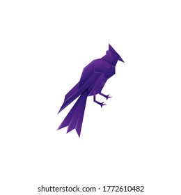 bird colorful vector design template illustration