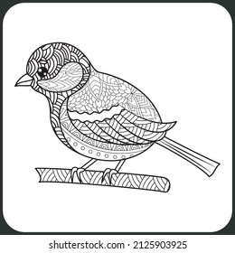 bird coloring book design for adult