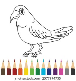 bird coloring book design illustration