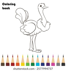 bird coloring book design illustration