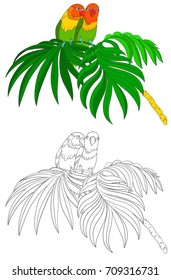 Bird coloring book with example isolated on white. Two parrot sitting on a palm leaf. Fischer's lovebird and palm tree vector stock illustration.