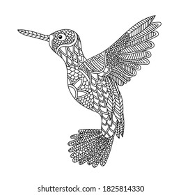 Bird coloring book illustration. Antistress coloring for adults. black and white lines. Print for t-shirts and coloring books.