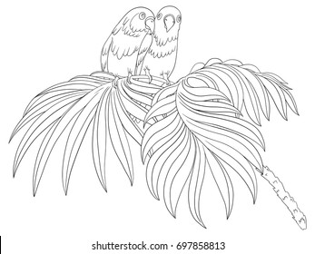 Bird coloring book isolated on white. Two parrot sitting on a palm leaf. Fischer's lovebird and palm tree vector stock illustration.