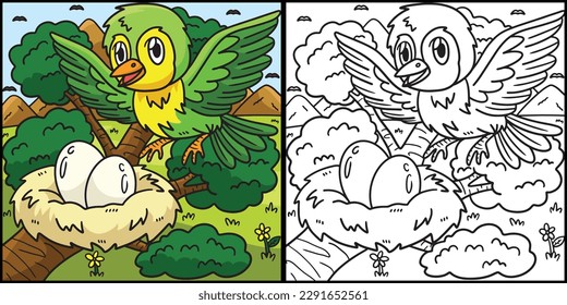 Bird Coloring Page Colored Illustration