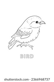 Bird coloring page for kids. Black and white vector illustration for coloring book