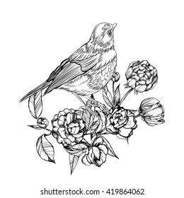 bird in the colors. Detailed drawing of a bird. Vector illustration isolated on white background