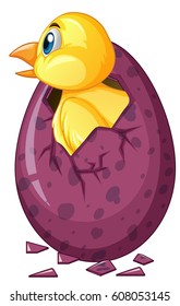 Bird comes out of purple egg illustration