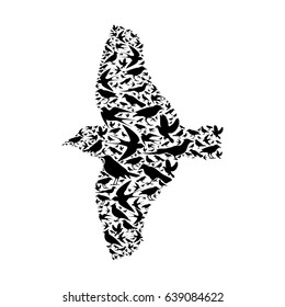 bird composite,vector illustration