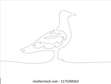 Duck One Line Continuous Line Art Stock Vector (Royalty Free ...