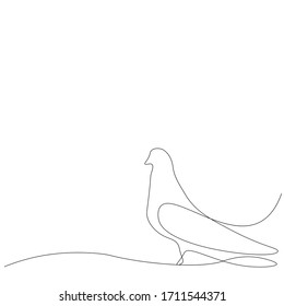 Bird continuous line drawing, vector illustration
