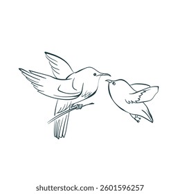 bird couple vector art line isolated design element ink