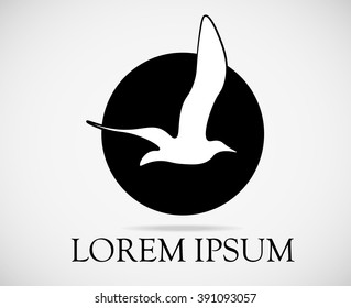 Bird Creative Logo Template