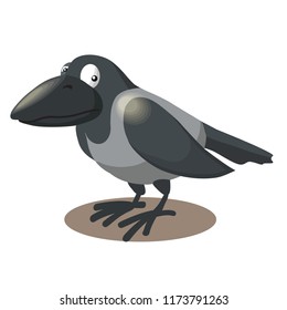 Bird crow. Hoodie. Isolated vector image. For decoration and design.