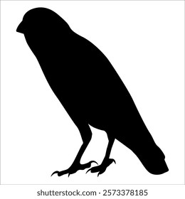 Bird Crow Silhouette Vector illustration