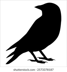 Bird Crow Silhouette Vector illustration