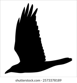 Bird Crow Silhouette Vector illustration