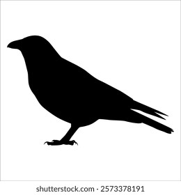 Bird Crow Silhouette Vector illustration