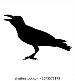 Bird Crow Silhouette Vector illustration