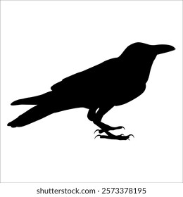 Bird Crow Silhouette Vector illustration