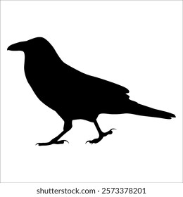 Bird Crow Silhouette Vector illustration