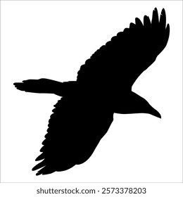 Bird Crow Silhouette Vector illustration