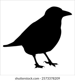 Bird Crow Silhouette Vector illustration